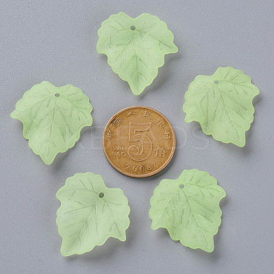 Autumn Theme Transparent Frosted Acrylic Pendants PAF002Y-18-1
