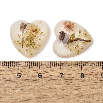 Transparent Resin Cabochons RESI-K033-12A-1