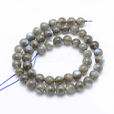 Natural Labradorite Beads Strands X-G-P336-19-8mm-1