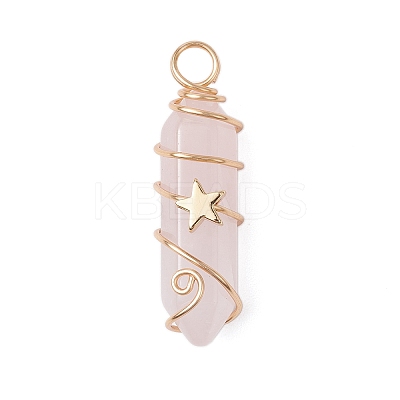 2Pcs 2 Styles Natural Rose Quartz Double Terminated Pointed Pendants PALLOY-JF03122-03-1
