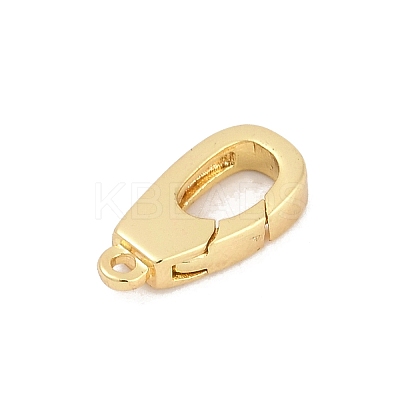 Brass Spring Gate Clasps KK-M311-24G-02-1