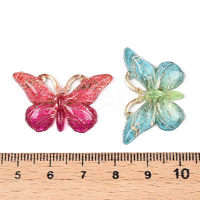 Printed Translucent Acrylic Pendants OACR-T028-20-1
