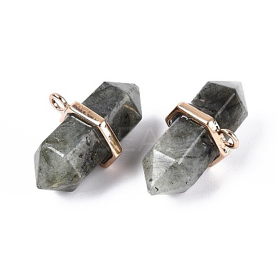 Natural Labradorite Double Terminal Pointed Pendants G-N345-09H-1