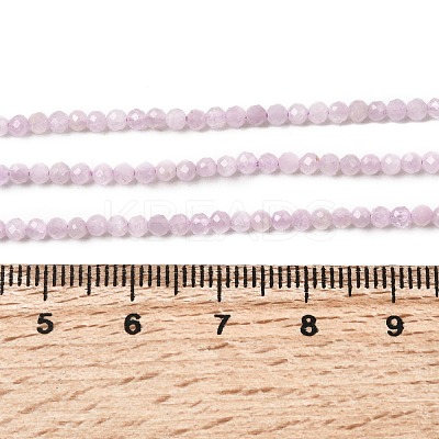 Natural Kunzite Beads Strands G-P603-C-2mm-05-1