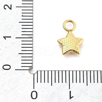 Ion Plating(IP) 304 Stainless Steel Charms STAS-P379-06C-G-1