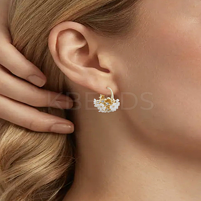 1 Pair Flower Zinc Alloy Hoop Earrings EJEW-LP0003-69-1
