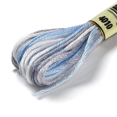 10 Skeins 6-Ply Polyester Embroidery Floss OCOR-K006-A57-1