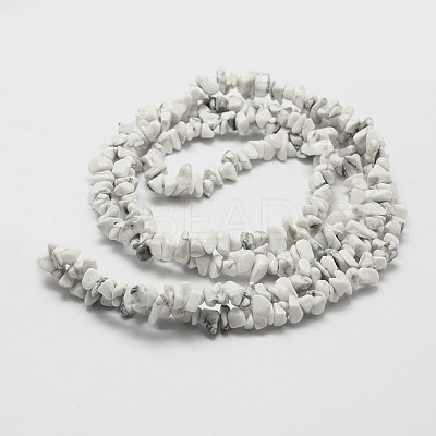 Natural Howlite Beads Strand LS-G-F328-05-1