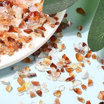 Natural Carnelian Chip Beads LS-X-G-O103-18-1