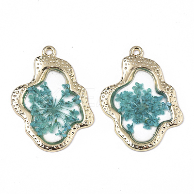 Epoxy Resin Pendants RESI-T045-028-1