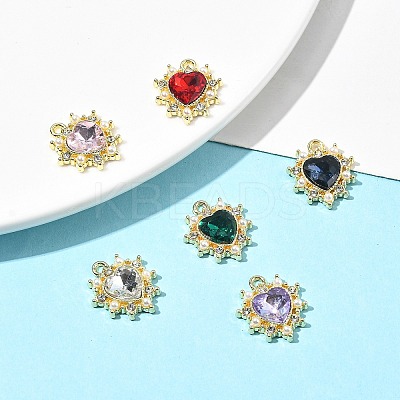 6Pcs 6 Color Acrylic Rhinestone Pendants FIND-FS0001-38-1