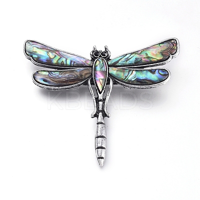 Natural Abalone/Paua Shell Brooch JEWB-G008-01AS-1