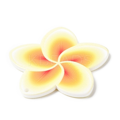 Opaque Acrylic Pendants SACR-P021-02B-1