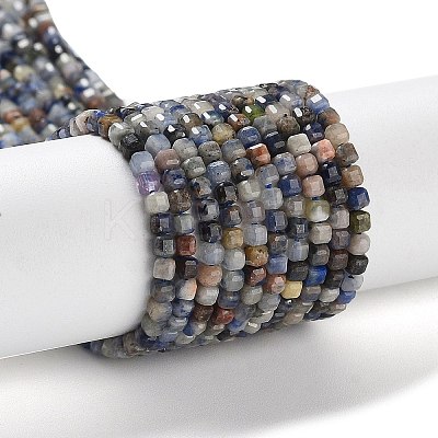 Natural Sodalite Beads Strands G-J400-A06-01-1