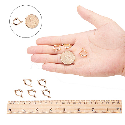 Brass Hoop Earring Findings with Latch Back Closure LS-KK-L148-07-1