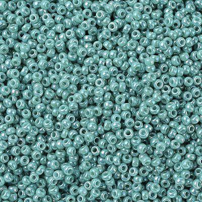MIYUKI Round Rocailles Beads X-SEED-G007-RR0481-1
