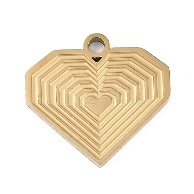 304 Stainless Steel Charms STAS-I325-136E-G-1