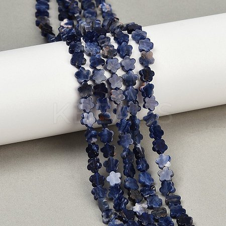 Natural Sodalite Beads Strands G-B138-C12-01-1