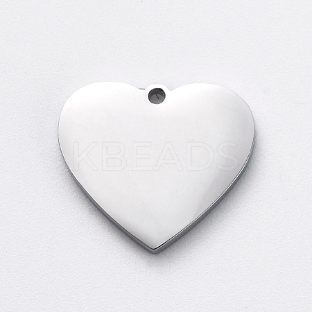 Non-Tarnish 304 Stainless Steel Stamping Blank Tag Charms STAS-G215-12-P01-1