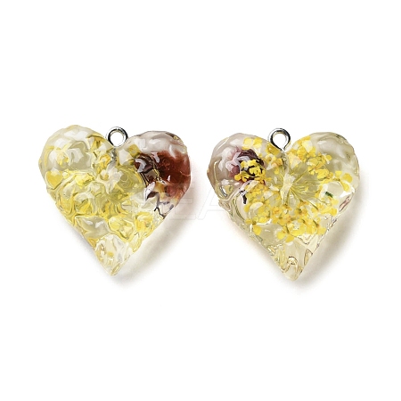 Inner Dried Flower Transparent Resin Pendants RESI-A043-03B-1