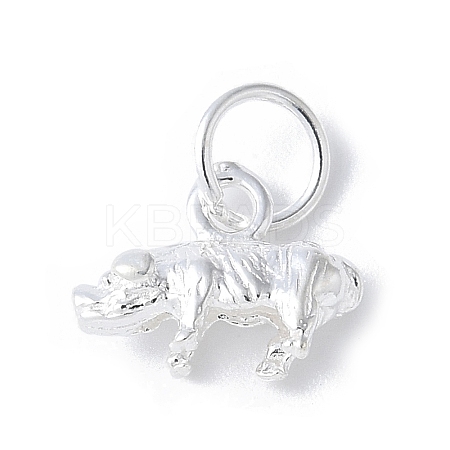 925 Sterling Silver 3D Chinese Zodiac Charms STER-P066-01S-12-1