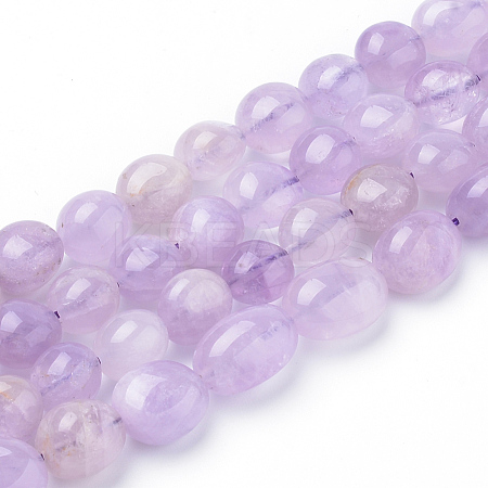 Natural Amethyst Beads Strands G-Q961-13-8x10-1