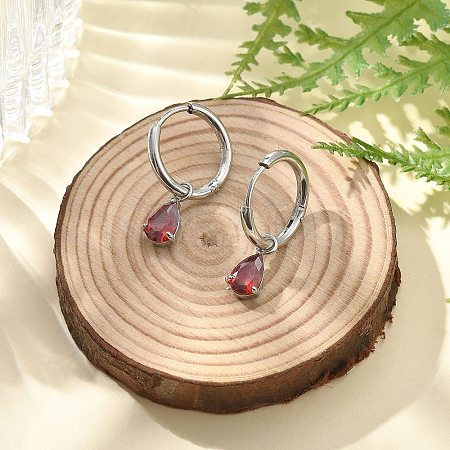 304 Stainless Steel Micro Pave Cubic Zirconia Hoop Earrings STAS-R004-05P-01-1