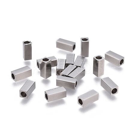 Tarnish Resistant 201 Stainless Steel Tube Beads STAS-P236-19P-1