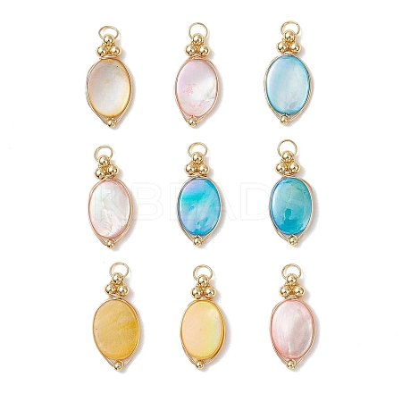 9Pcs 3 Colors Dyed Natural Shell Pendants PALLOY-JF04838-1
