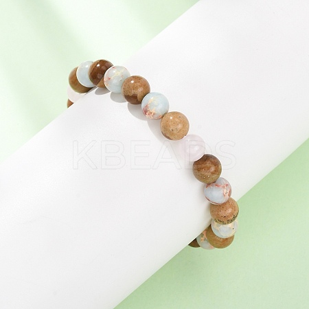 Natural Shoushan Stone & Picture Jasper & Glass Beads Stretch Bracelets for Women Men BJEW-P398-01A-1