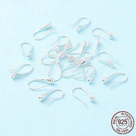 925 Sterling Silver Earring Hooks STER-P047-02S-1