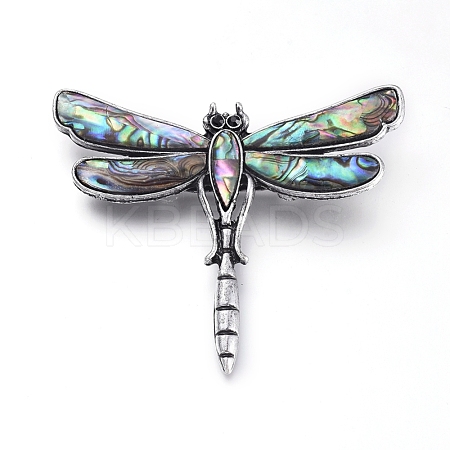 Natural Abalone/Paua Shell Brooch JEWB-G008-01AS-1