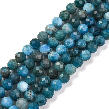 Natural Apatite Beads Strands G-F770-C02-02-1