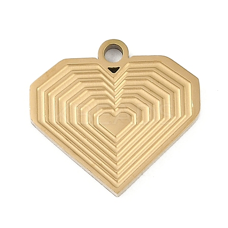 304 Stainless Steel Charms STAS-I325-136E-G-1