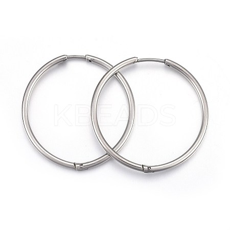 Tarnish Resistant 304 Stainless Steel Huggie Hoop Earrings X-EJEW-L205-02A-P-1