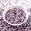 Cylinder Seed Beads SEED-H001-D05-2