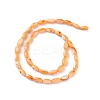 Natural Freshwater Shell Dyed Beads Strands SHEL-M018-13-08-2