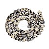 Natural Dalmatian Jasper Beads Strands G-N257-24A-04-3