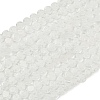 Handmade Millefiori Glass Flat Round Bead Strands LK-P010-05-1