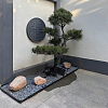 PET Landscape Edging FIND-WH0152-354-6