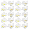 Cloth Imitation Phalaenopsis Amabilis DIY-WH20002-197-1