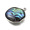 304 Stainless Steel Pave Natural Paua Shell Pendants STAS-Z125-01H-P-2
