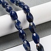 Natural Sodalite Beads Strands G-P520-C07-01-2