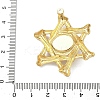 304 Stainless Steel & Resin & Glass Pendants STAS-G371-15G-02-3