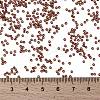 MIYUKI Round Rocailles Beads X-SEED-G009-RR0301-3