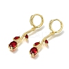 Brass Micro Pave Cubic Zirconia Hoop Earrings CU-CBA108A-14G-03-4