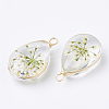 Glass Pendants LS-X-GLAA-Q070-005F-2