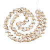 Electroplate Transparent Glass Beads Strands EGLA-N002-44-04-2