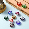 10Pcs Transparent Resin European Beads RPDL-YW0001-06-5