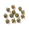 Natural Unakite Rondelle Charms with Rack Plating Brass Loops G-G110-05B-15-1